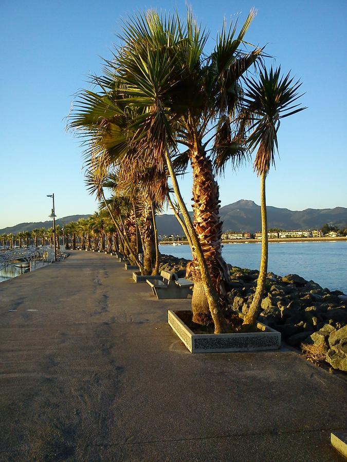 Hotel Valencia Hendaye Exterior foto
